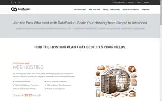 Datapacket.net Screenshot 2024-06-29 03:03:19