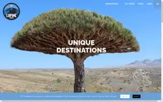 Lupinetravel.co.uk Screenshot 2024-04-26 17:37:01