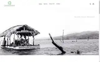 Coastecotimber.com Screenshot 2024-05-05 02:37:56