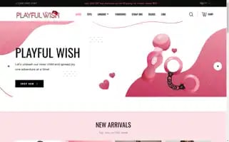 Playfulwish.com Screenshot 2024-05-02 03:22:52