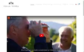 Villavinea.com Screenshot 2024-06-12 18:24:56