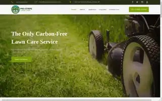 Prostripelawncare.com Screenshot 2024-04-26 17:05:09