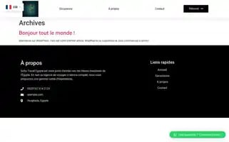 Sofiatravelegypte.com Screenshot 2024-04-17 17:44:34