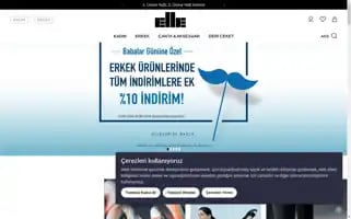 Elleshoes.com Screenshot 2024-06-16 18:11:23