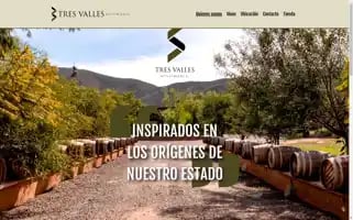 Vinostresvalles.com Screenshot 2024-07-01 15:38:48