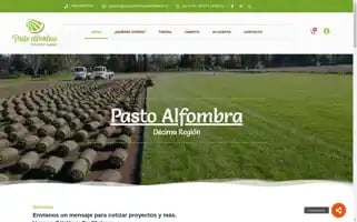 Pastoalfombradecimaregion.cl Screenshot 2024-05-21 20:20:42