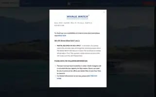 Whalewatch.co.nz Screenshot 2024-05-15 02:10:23