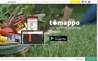 Tomappo.com Screenshot 2024-07-02 09:46:57