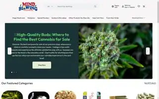 Mind-blowingonlinestore.com Screenshot 2024-05-21 16:30:23
