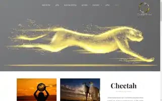 Cheetah.co.il Screenshot 2024-06-15 08:13:26