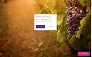 Thebestwinestore.com Screenshot 2024-05-04 21:50:45
