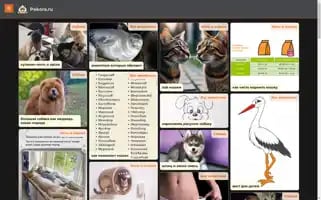 Pekora.ru Screenshot 2024-05-22 00:44:58