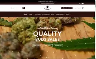 Qualitybudssales.com Screenshot 2024-06-17 04:01:52