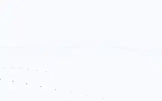 Kayitzinciri.com Screenshot 2024-07-08 10:53:21