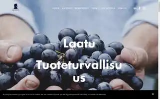 Qualita.fi Screenshot 2024-07-09 05:49:06