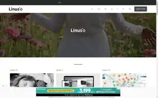 Linus-x.com Screenshot 2024-05-19 12:08:34