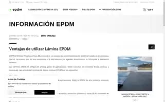 Epdm.sx Screenshot 2024-06-28 01:33:11