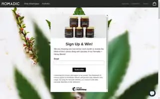 Nomadiceffects.com Screenshot 2024-05-04 10:34:32