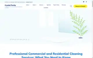 Crystal-purity.com Screenshot 2024-05-25 18:58:49