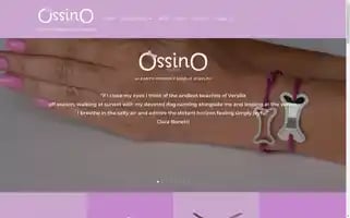 Ossino.it Screenshot 2024-05-18 17:30:45
