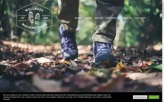 Wellnesswalkingtours.com Screenshot 2024-04-15 23:37:50