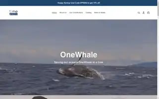 Onewhale.us Screenshot 2024-04-27 13:39:20