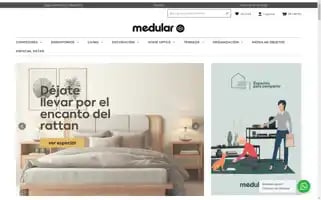 Medular.cl Screenshot 2024-05-05 07:45:30