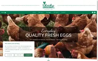 Cheekychickenco.ie Screenshot 2024-05-27 21:30:20