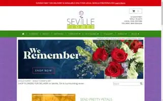 Sevilleflowershop.com Screenshot 2024-05-16 16:47:21