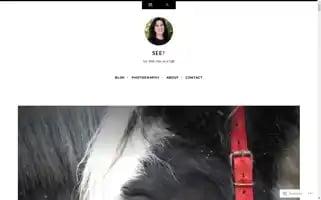 Seetravelmag.com Screenshot 2024-04-17 08:20:15