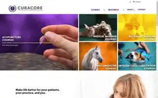 Curacore.org Screenshot 2024-07-04 11:36:24