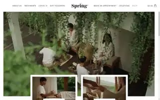 Springspa.com Screenshot 2024-05-14 01:38:21