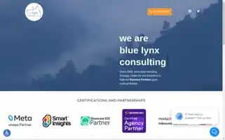 Bluelynxmarketing.com Screenshot 2024-06-12 04:38:19