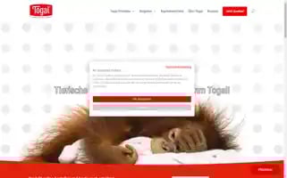 Togal.de Screenshot 2024-06-11 05:15:14