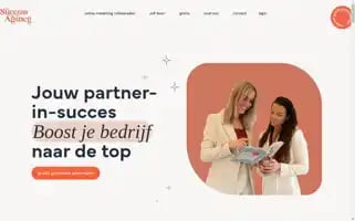 Thesuccessagency.nl Screenshot 2024-05-22 08:32:18