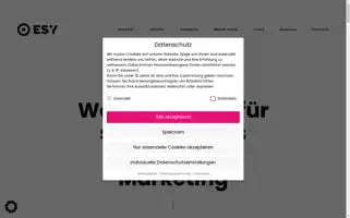 Esy-agentur.de Screenshot 2024-07-09 23:23:39