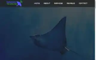 Raydartechnology.com Screenshot 2024-06-26 12:04:43