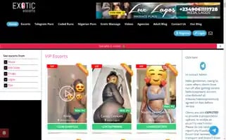 Exoticnigeria.com Screenshot 2024-06-14 00:22:46