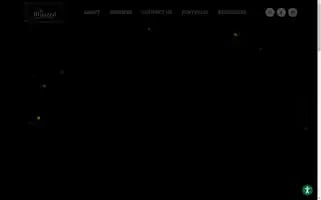 Blittzedmarketing.com Screenshot 2024-06-17 22:16:54