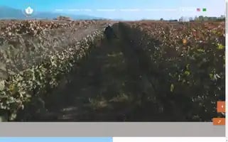 Penedoborges.com Screenshot 2024-07-08 00:03:50