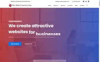 Prowebconcepts.com Screenshot 2024-06-29 21:28:10