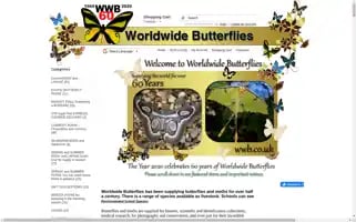 Wwb.co.uk Screenshot 2024-05-15 06:19:00