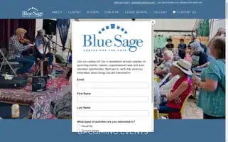 Bluesage.org Screenshot 2024-07-04 09:55:30