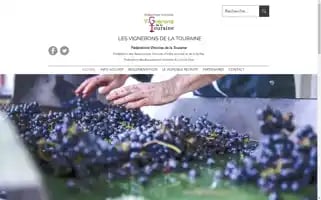 Vigneronsdelatouraine.com Screenshot 2024-04-14 08:06:11