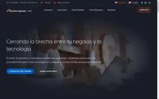 Dynamicspayments.com Screenshot 2024-06-16 01:59:28