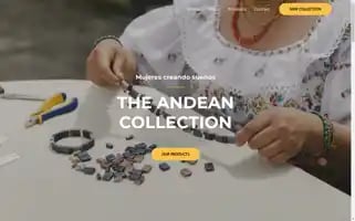 Theandeancollection.com Screenshot 2024-05-05 14:20:20