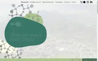 Bikochile.com Screenshot 2024-06-12 23:54:59