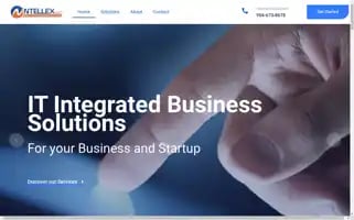 Ntellex.org Screenshot 2024-06-27 11:40:10