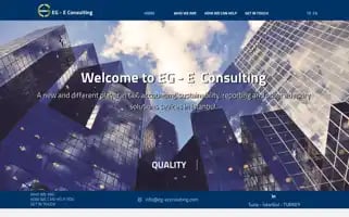Eg-econsulting.com Screenshot 2024-06-30 08:23:50