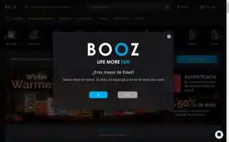 Booz.cl Screenshot 2024-07-04 00:59:26